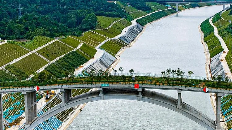 Pinglu Canal opens with wildlife bridge for safer animal crossings