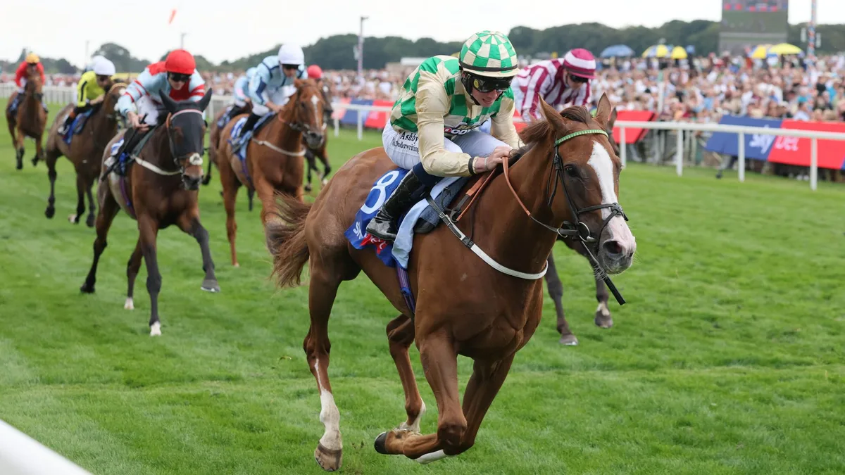 Daiquiri keeps rivals at Bay in thrilling Ebor