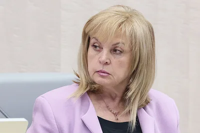 Памфилова: 18 сентября поступило 23 обращения о реализации прав наблюдателей