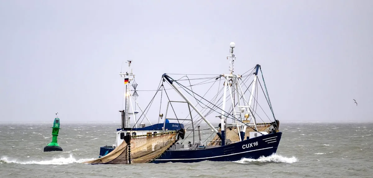 Hohe Spritpreise wirken sich jetzt auf die Fisch-Fangmenge aus