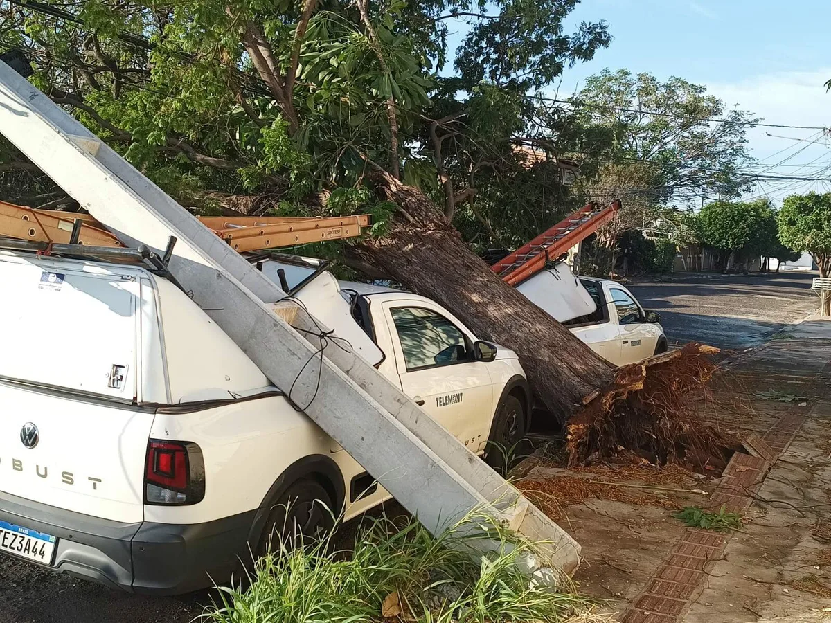 MS terá três dias de alerta para tempestades e ventos podem chegar a 100 km/h