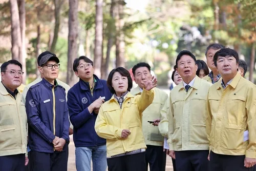 가평군 29일 '소나무재선충병 특별방제구역' 지정