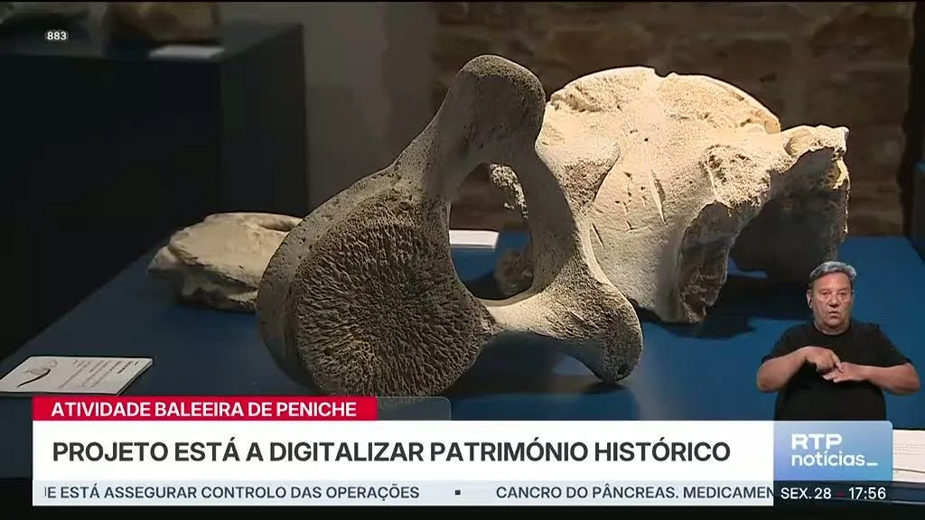 Atividade baleeira de Peniche. Projeto está a digitalizar Património Histórico