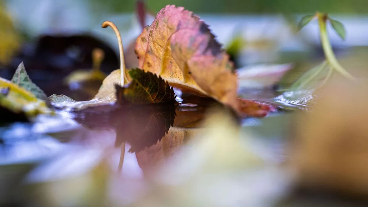 Wetter: Herbstlicher Sonne-Wolken-Mix in Hessen erwartet