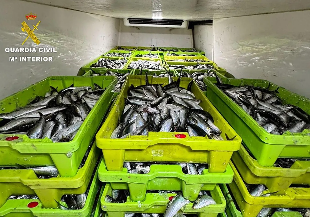 Intentan colar 2.551 kilos de sardina en Aldán con la geolocalización apagada para no ser descubiertos