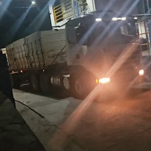 Sem cocaína, carga de madeira é liberada após quase 2 meses retida em Corumbá