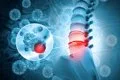 La Universidad de Tel Aviv avanza en el primer implante mundial de una médula espinal artificial