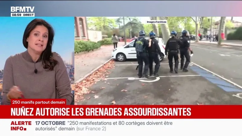 Laurent Nuñez a annoncé que les grenades assourdissantes, interdites dans le cadre du mouvement lycéen, pourront être utilisées en cas de "violences urbaines"