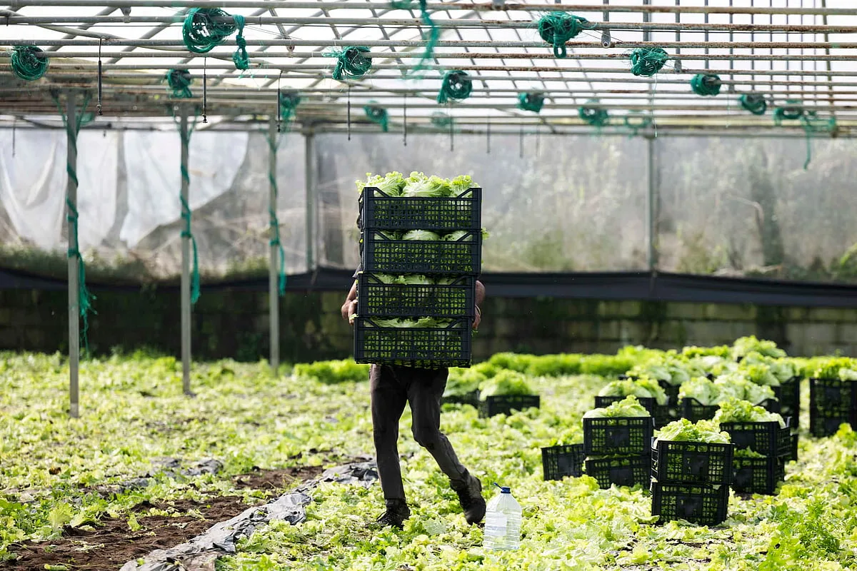 Excedente comercial agroalimentar da UE sobe para 23,9 mil milhões no 1.º semestre