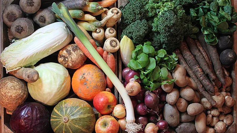 Preços a subir, fertilizantes em falta e colheitas ameaçadas: quatro cenários para uma crise alimentar global