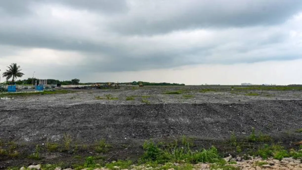 Singapore turned ash-filled artificial island into a wildlife haven