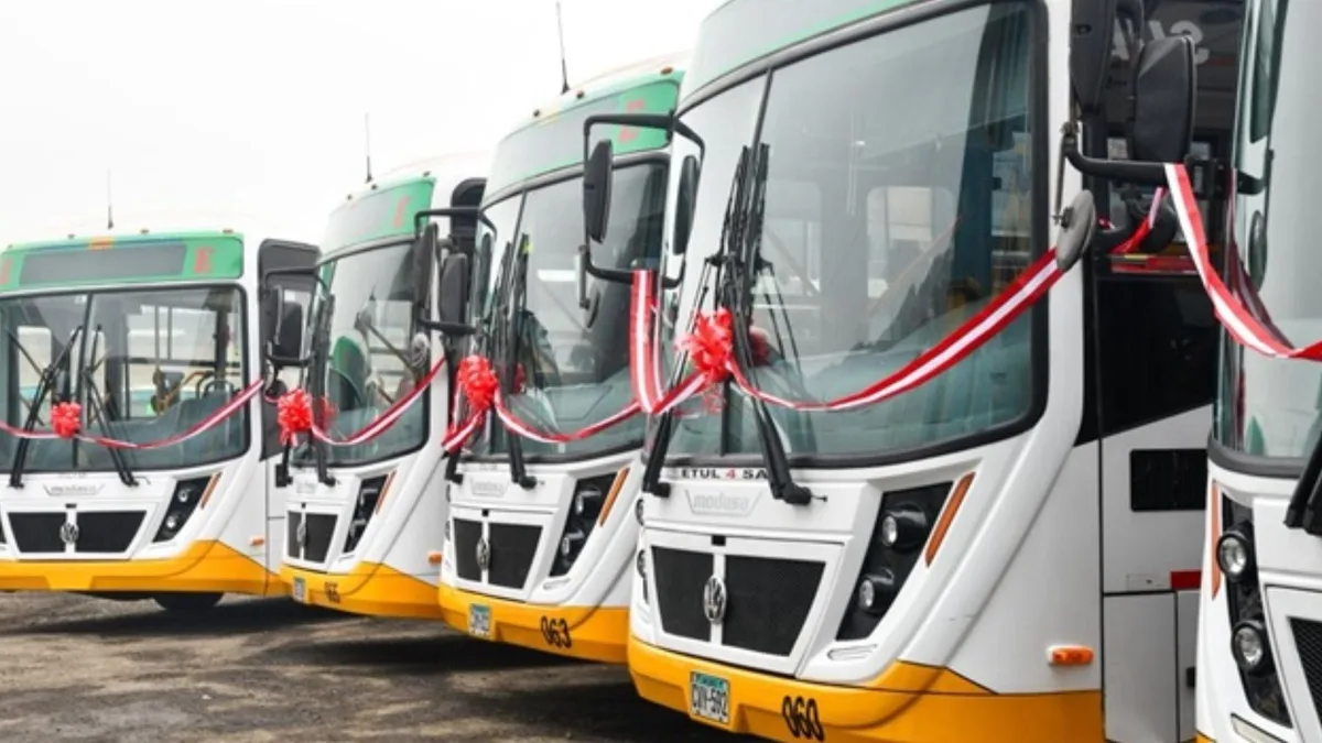Estos son los 30 nuevos buses que recorrerán Lima: tienen tecnología GNV y conectarán SJL con Chorrillos