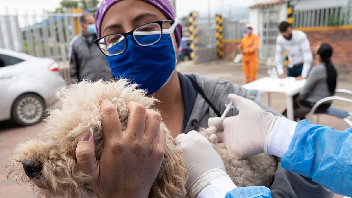 Alerta por rabia humana en Venezuela: reportan seis casos en lo que va de 2026