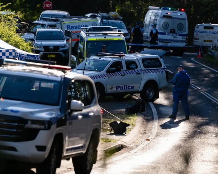 Second child dies after alleged Blue Mountain stabbing as mother faces additional murder charge