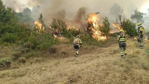 Una directora general del PP desata la polémica al vincular un incendio en Aragón con la inmigración