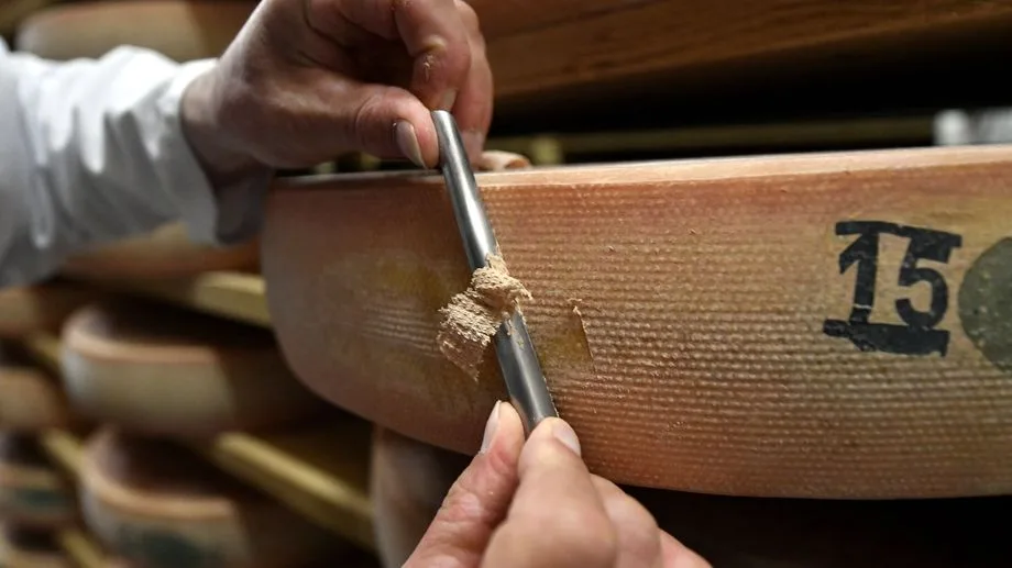 Sécheresse : les AOP fromagères de Franche-Comté demandent un allègement de leur cahier des charges
