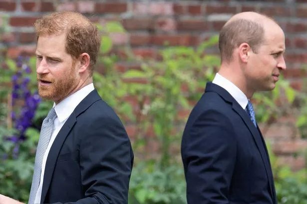 Prince Harry 'stopped cold' by Prince William's three-word secret code amid royal rift