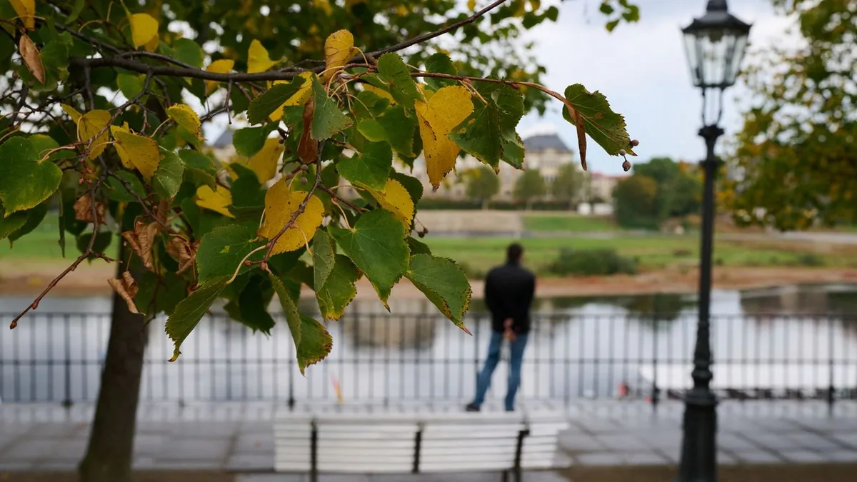 Wettervorhersage: Erst bis zu 20 Grad, dann Regen und deutlich kühler