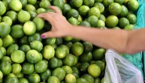 Brasil se firma como fiador alimentar, mas dependência de insumos ameaça margens