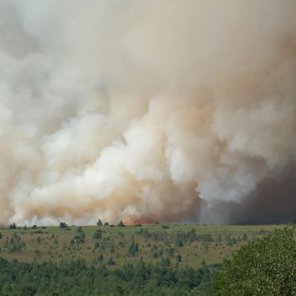 Neuer Bericht - Weltorganisation für Meteorologie: Hitzewellen und Brände verschärfen Luftverschmutzung