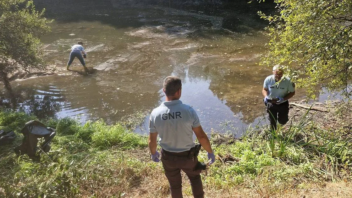 Descarga de águas residuais poderá estar na origem da morte de peixes no rio Corgo