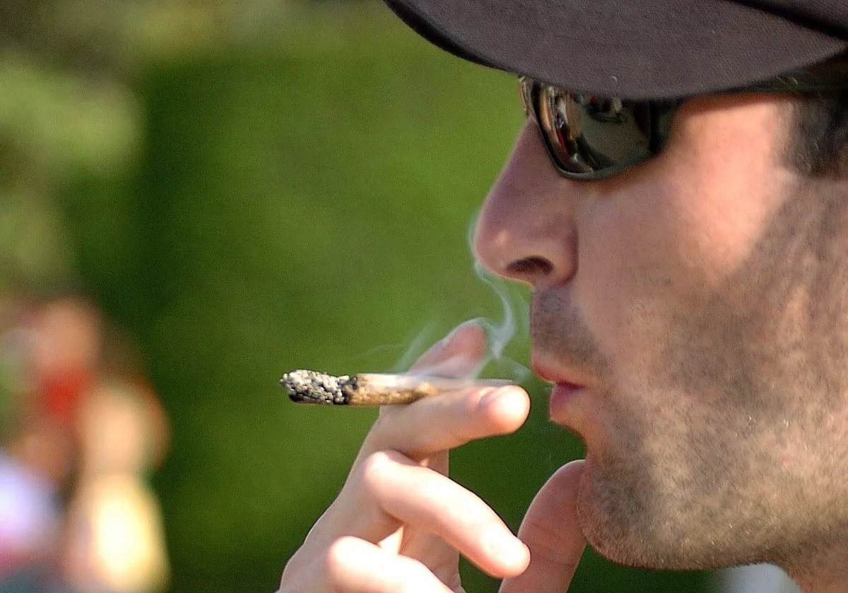 La Policía desmantela una asociación cannábica del Centro de Sevilla que vendía marihuana y hachís