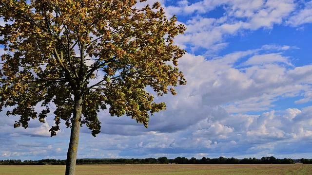 Warmes Wochenende: September-Sonne: Temperaturkurve zeigt deutlich nach oben