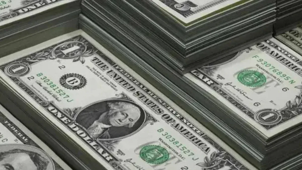 India's forex reserves surge record $44.9 billion to all-time high of $785.7 billion