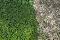 Desmatamento na Amazônia e no Cerrado tem menor nível na série histórica