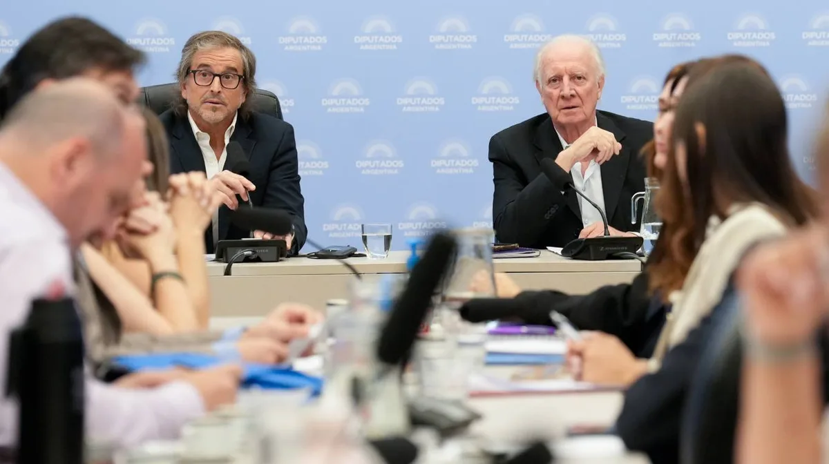 Presupuesto 2027: la oposición alertó que el Gobierno quiere aplicar recortes en Discapacidad
