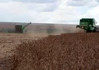 Brasil está prestes a passar os EUA como maior superpotência agrícola