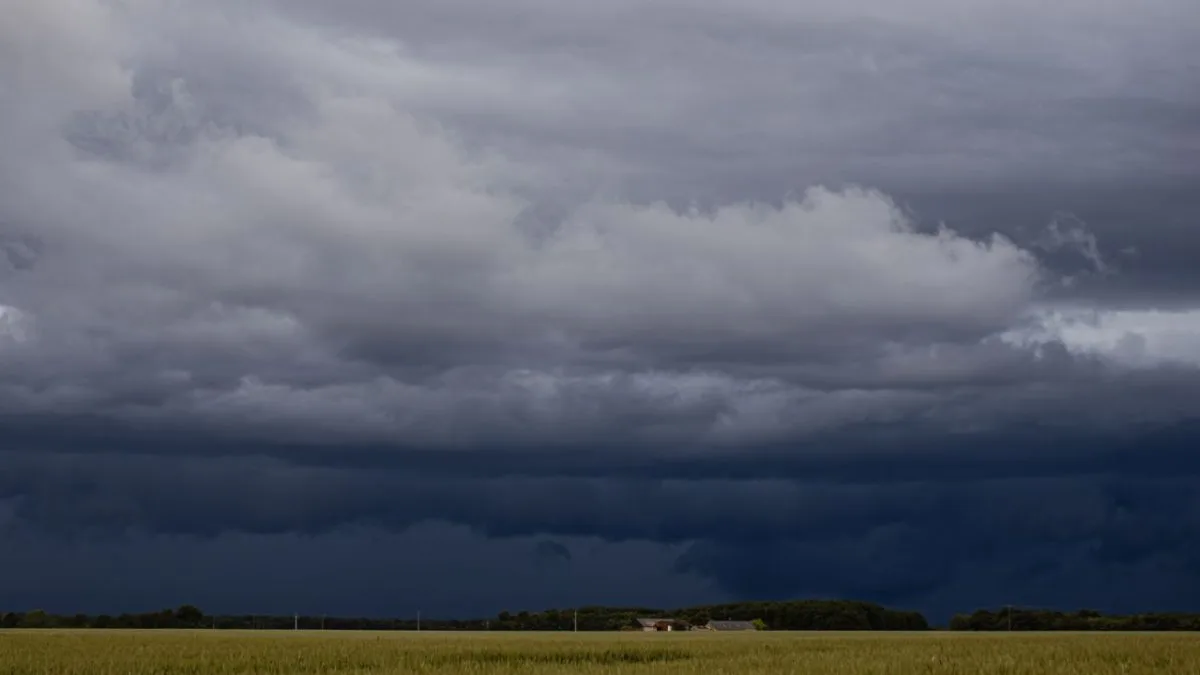 Quais são os efeitos do El Niño na agricultura e produção de alimentos
