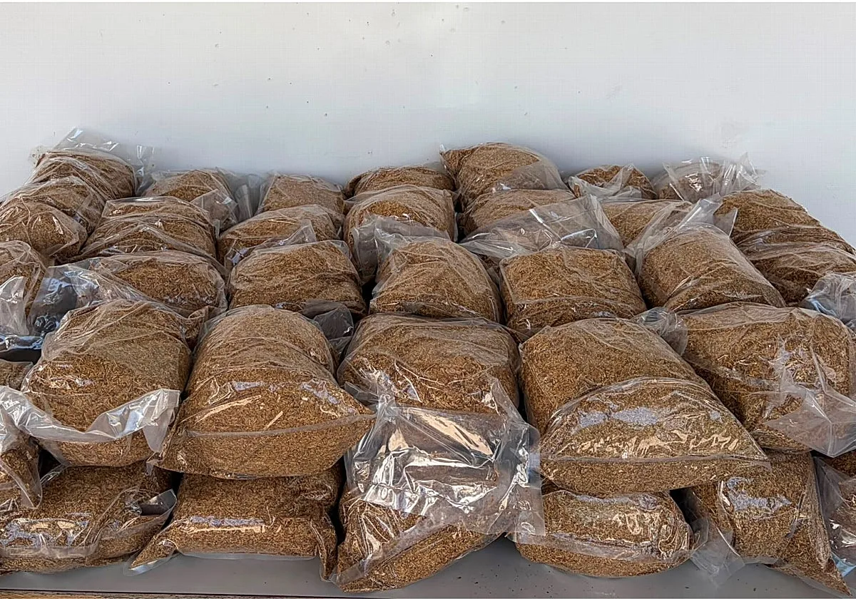 Detenido con 60 kilos de tabaco ilegal en el maletero en las fiestas de Cocentaina