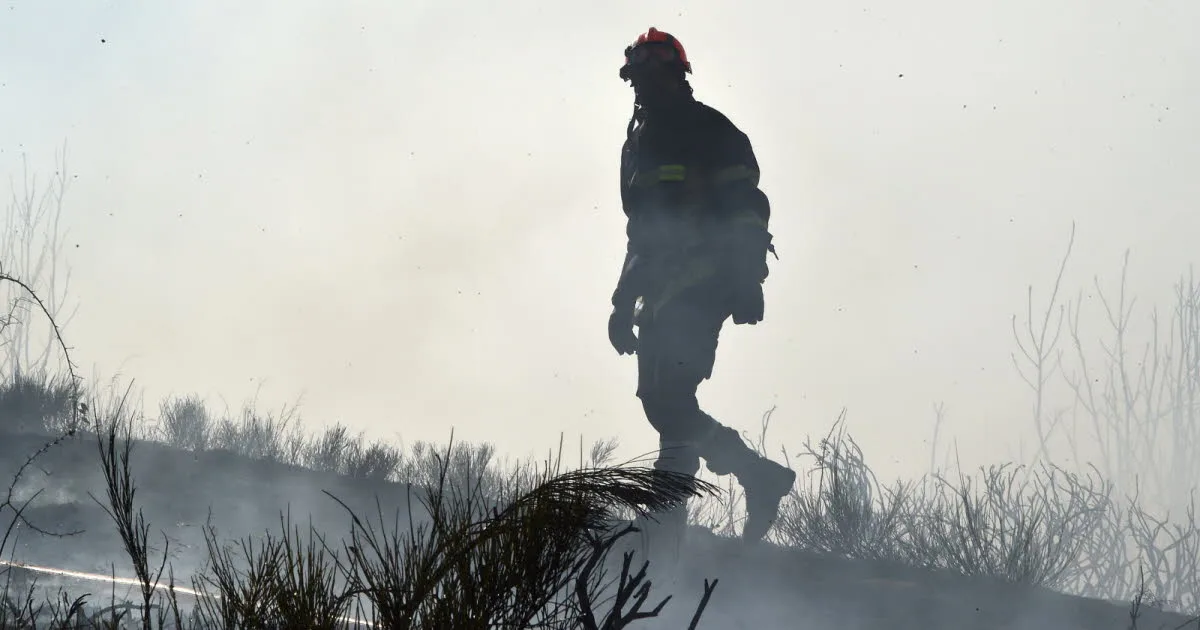 Faits divers. Feux de forêt : dans le Rhône, le pire est devant nous, quels sont les secteurs les plus à risque ?