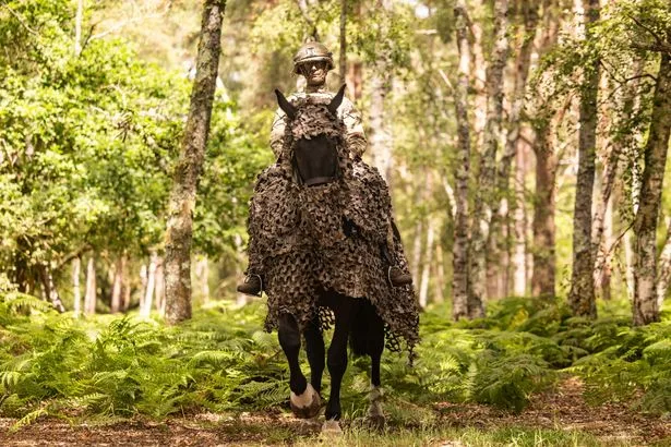 UK military experiments with camouflaging horses for battle