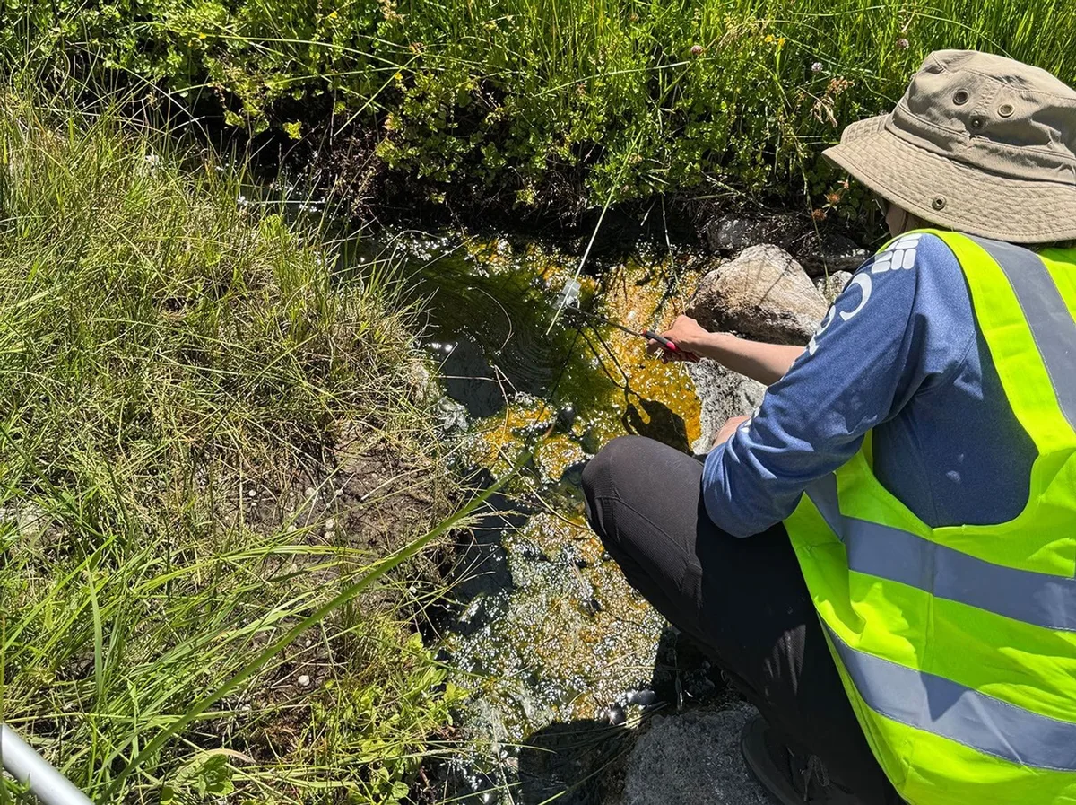 “Ameba de fogo” quebra recorde de temperatura mais alta suportada