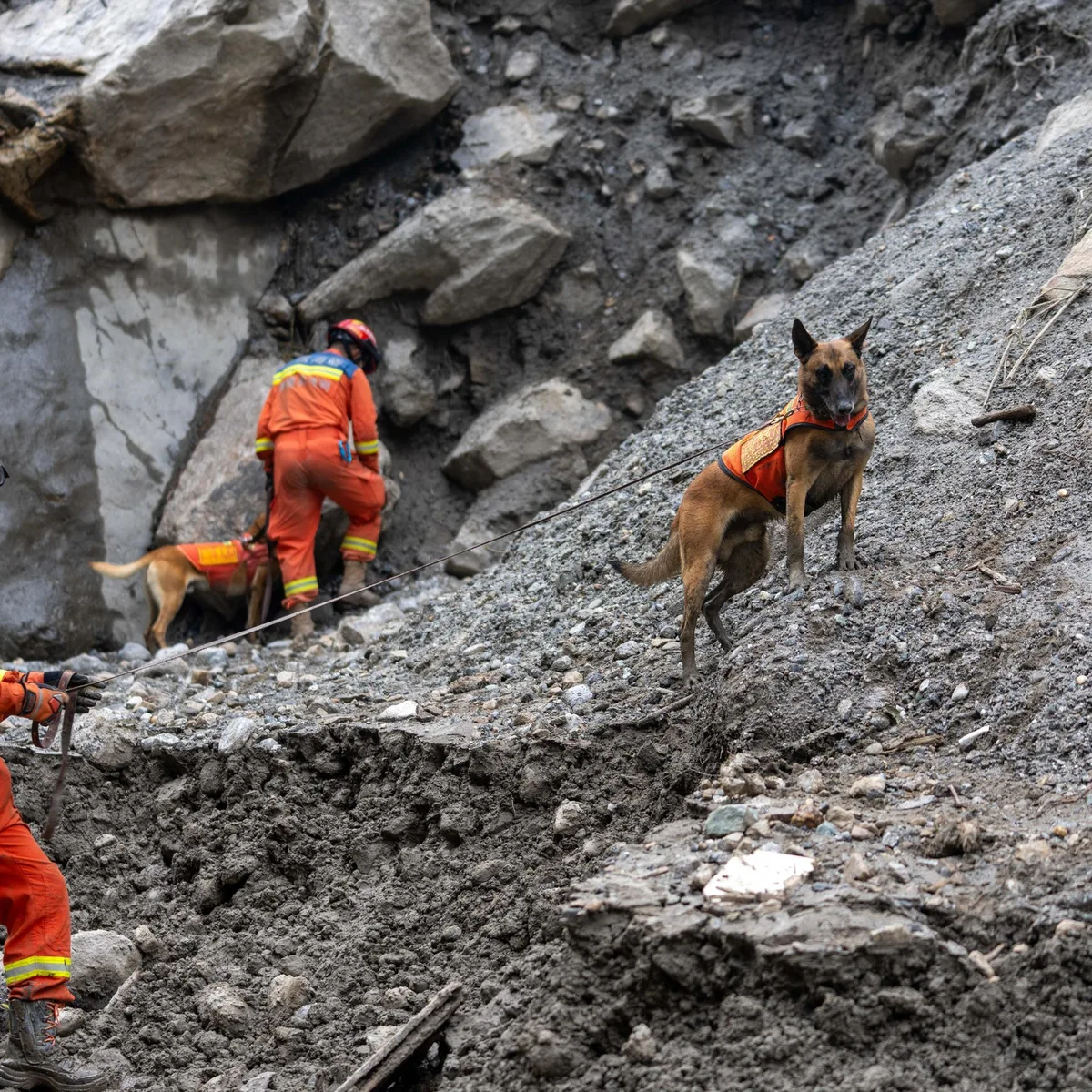 Himalaya - Hunderte Arbeiter in Kraftwerken vermisst - Rettungskräfte in Nepal setzen Suche fort