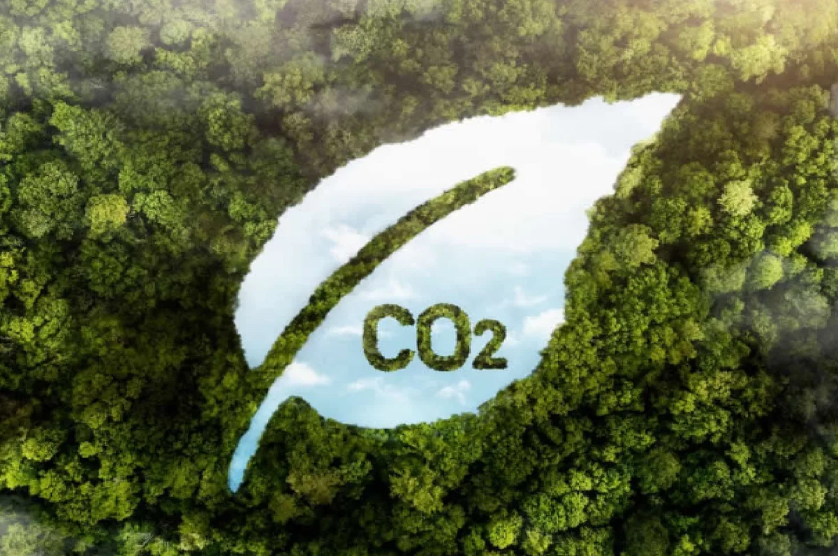 Latinoamérica pisa fuerte en el mercado de carbono: el desafío es convertir naturaleza en inversión
