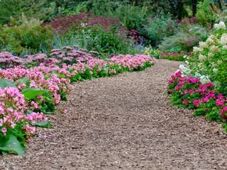 Au jardin, voici comment mettre en valeur vos allées et chemins grâce aux bordures végétales
