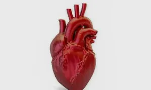 Nova diretriz atualiza definição de infarto e muda critérios para diagnóstico