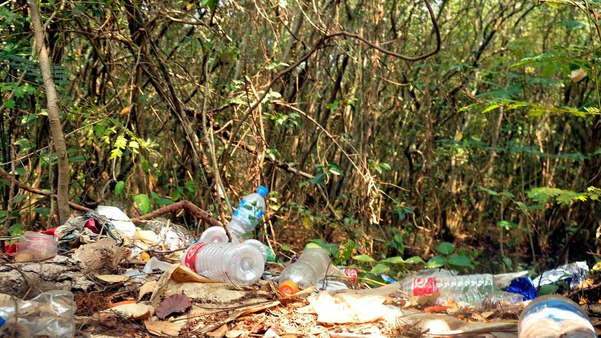 Dumping menace leaves forest fringes of Erumely in Keralam under siege