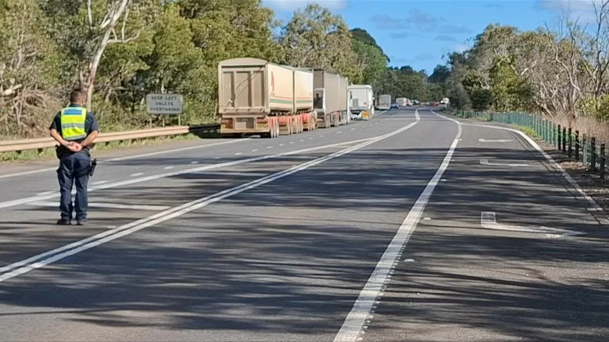 Driver killed, another fighting for life after crash on Princes Hwy at Heathmere, southwest Victoria