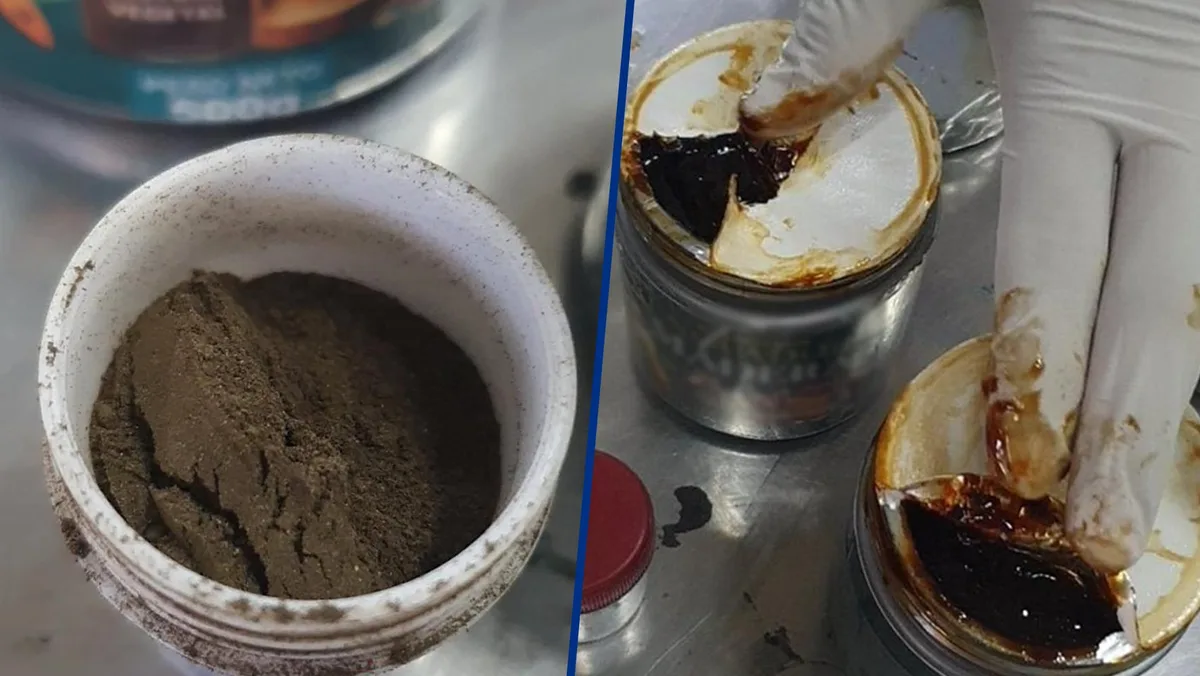 ¡Qué viajezote con las llamas! Decomisan ayahuasca en el AICM; provenía de Perú