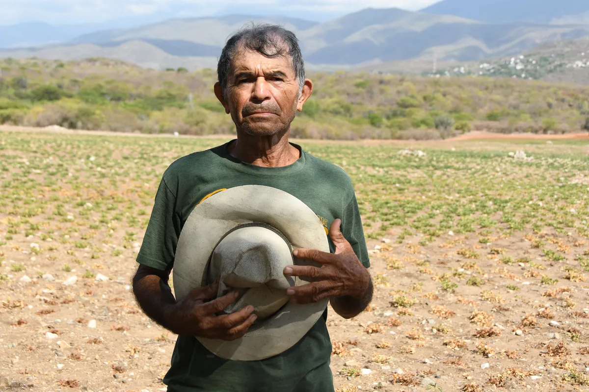 Por qué 3.1 millones de guatemaltecos enfrentarán inseguridad alimentaria en septiembre en el Corredor Seco