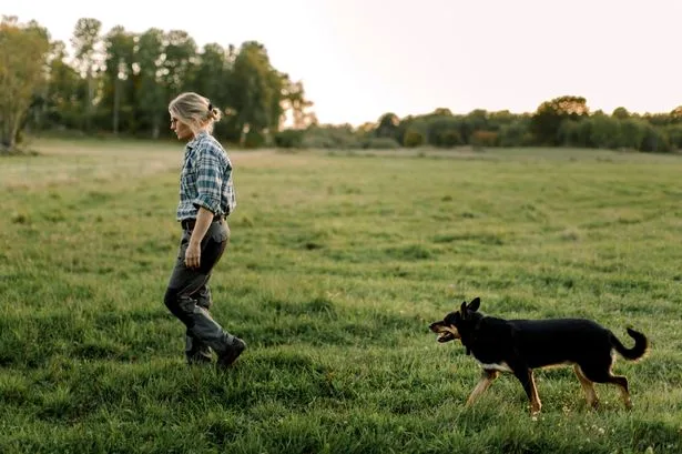 Vet nurse warns dog owners of 'autumn risk' which can attack pet's gut and nervous system