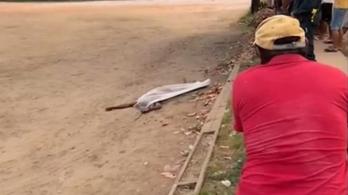 Homem é encontrado morto com sinais de violência em campo de futebol em Santarém
