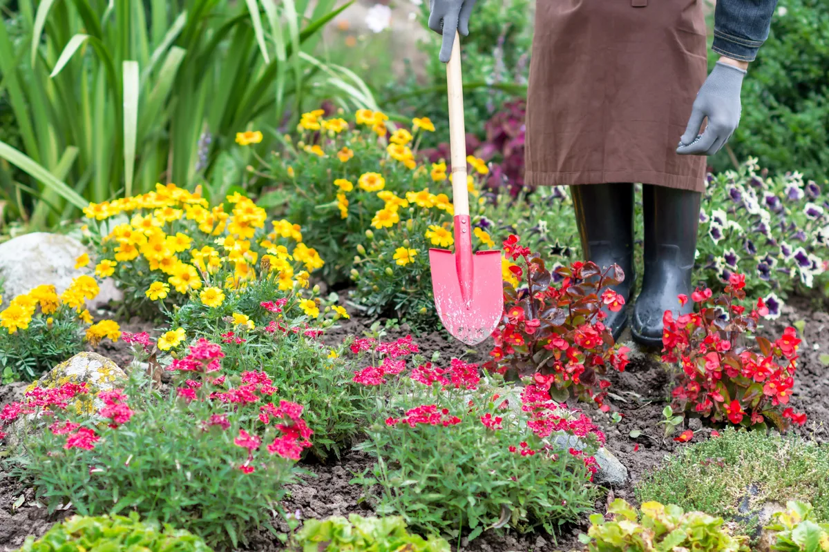 Save money on gardening by doing a fall plant swap