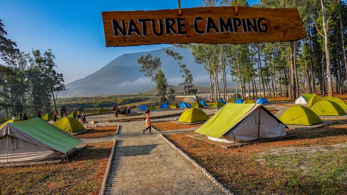 Araku Pinery: New experiences at the community-led eco-tourism retreat