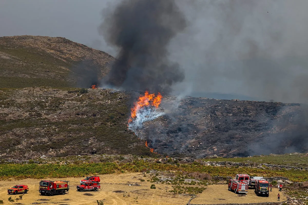 Quatro bombeiros feridos, três em estado grave, em despiste de veículo perto do incêndio de Arouca