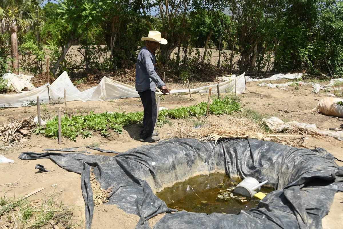 Guatemala declara alerta roja en 15 municipios ante los efectos de la sequía